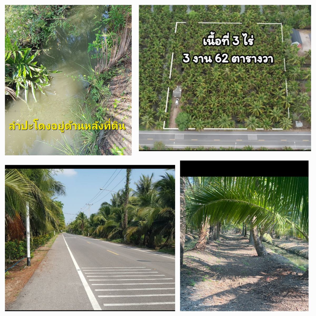 ขายที่ดินสมุทรสงคราม : 💥เหมา​ ​4.8ล้าน​เกือบ4ไร่💥หน้าติดถนนลาดยาง💥หลังติดลำปะโดง💢เจ้าขายเอง