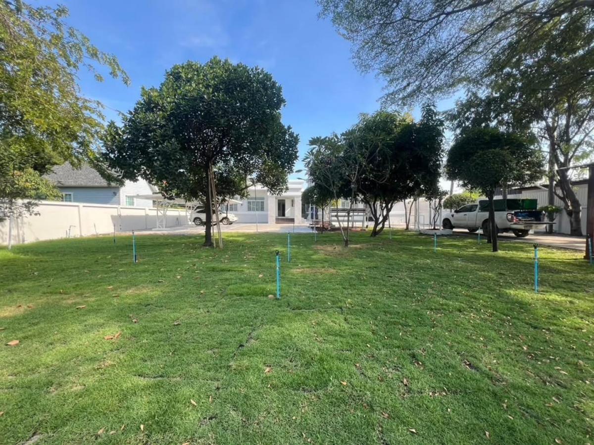 For RentHouseBangna, Bearing, Lasalle : 📢👇 Single-story detached house, huge size of usable area and land, suitable for big family or home office , price includes gardening once a month, near Mega Bangna and many international schools