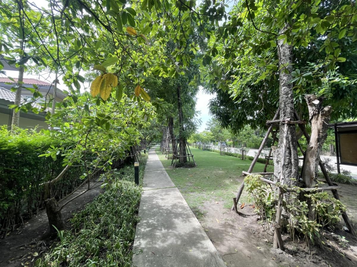 ขายบ้านพระราม 5 ราชพฤกษ์ บางกรวย : ขายบ้านเดี่ยวสภาพดี ใกล้ clubhouse โครงการคณาสิริ ชัยพฤกษ์-วงแหวน แบรนด์คุณภาพจากแสนสิริ