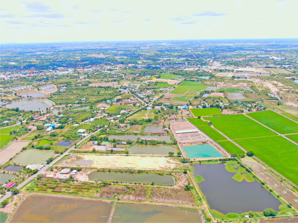 For SaleLandNakhon Pathom : 23 rai 1 ngan 57 sq.w., Huai Phra Subdistrict, Don Tum District, Nakhon Pathom Province
