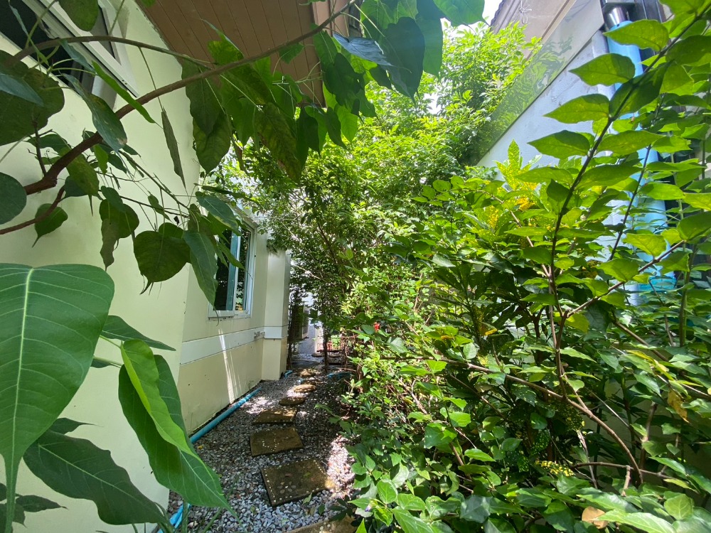 For SaleHouseNawamin, Ramindra : Detached house, newly updated 4 bedrooms, 4 water, special price !!