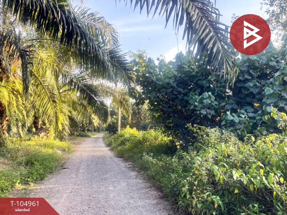 For SaleLandChumphon : Land for sale, area of ​​26 rai 2 ngan 66 sq.wah, Tha Yang Chumphon