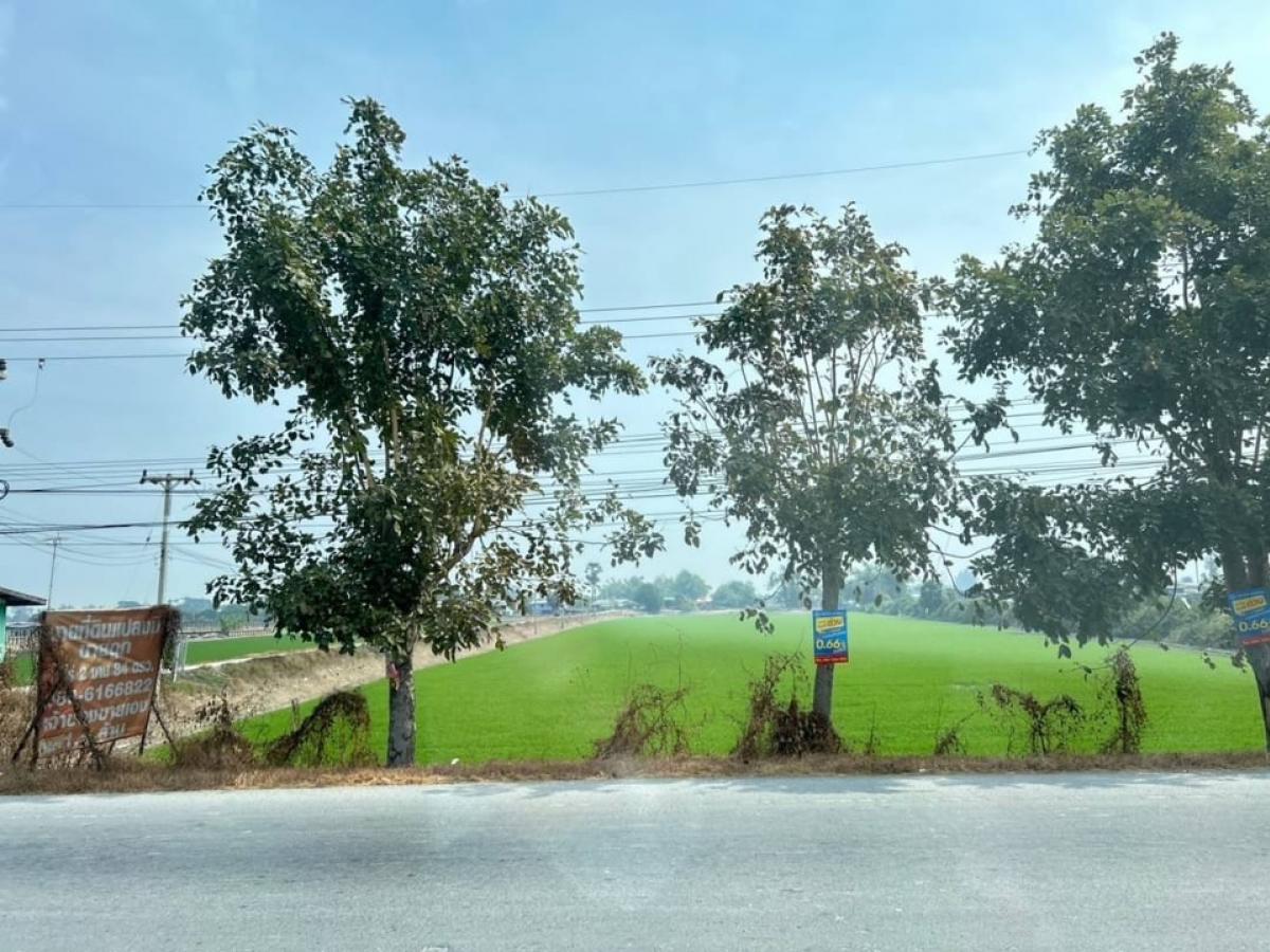 For SaleLandSuphan Buri : Land for sale in beautiful water, area 11 rai, Suphan Buri Province