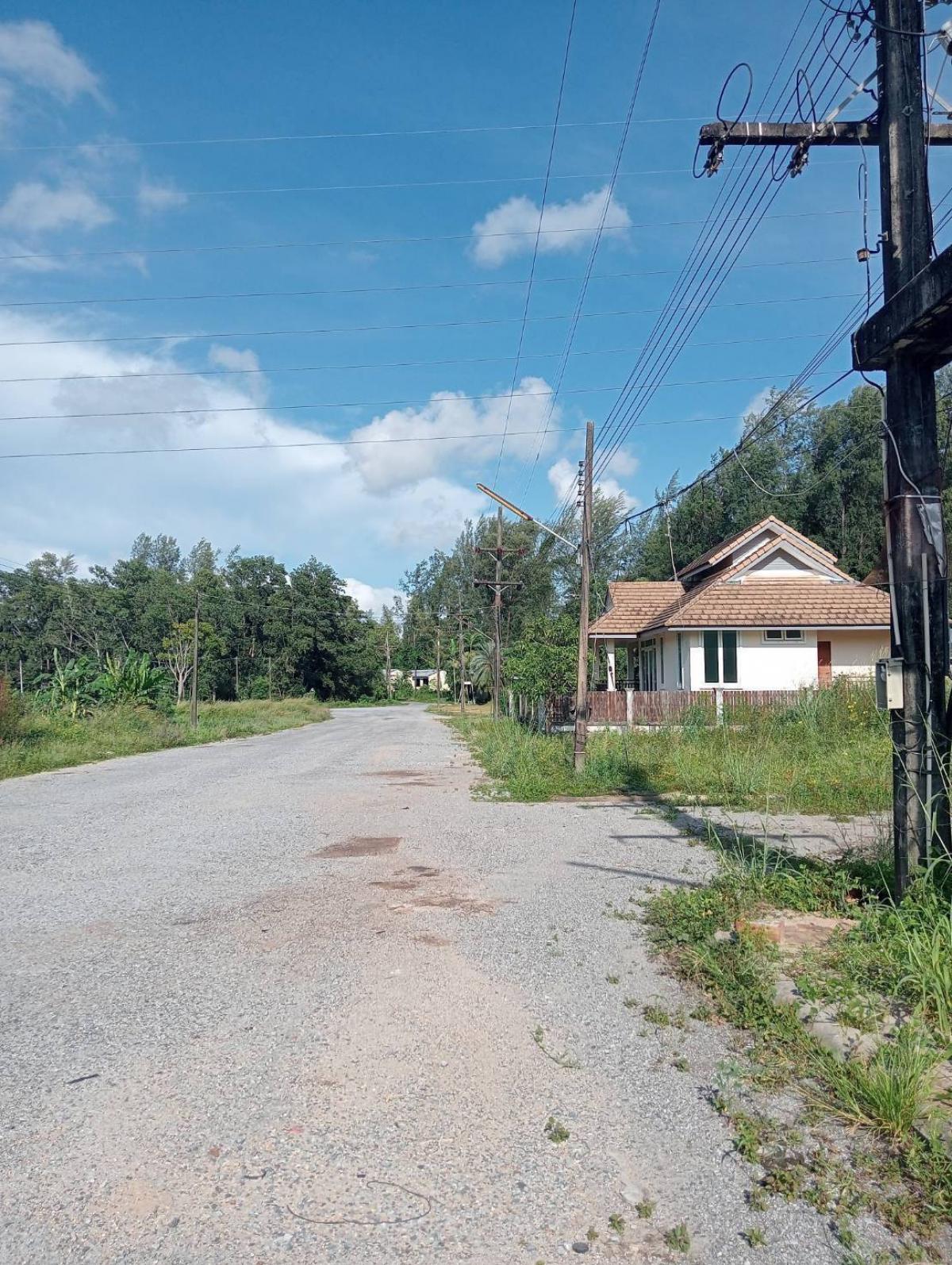 For SaleLandPhuket : Urgent sale, price negotiable, land in Thalang, Phuket, on Thep Krasattri Road, already developed into a subdivision.