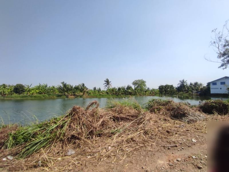 For SaleLandLadkrabang, Suwannaphum Airport : Land for sale (at Bueng), 2 rai 2 ngan 43 sq.w., Thap Yao Road, Lat Krabang District, Bangkok