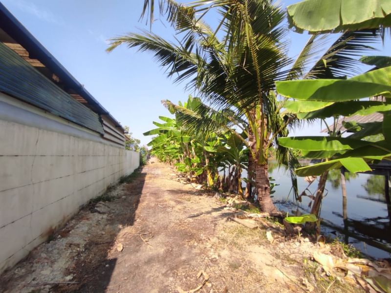 For SaleLandLadkrabang, Suwannaphum Airport : Land for sale (at Bueng), 2 rai 2 ngan 43 sq.w., Thap Yao Road, Lat Krabang District, Bangkok