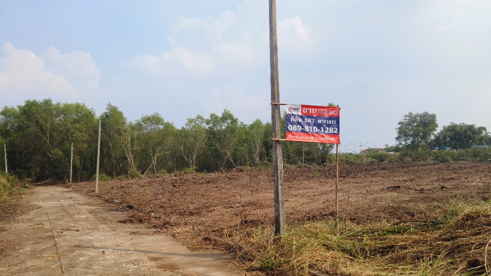 ขายที่ดินปทุมธานี รังสิต ธรรมศาสตร์ : ขายด่วน ถูกมากต่ำกว่าราคาประเมินเกือบครึ่ง เวิลด์คลับแลนด์, ปทุมธานี