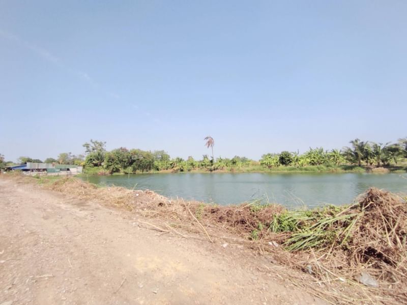 For SaleLandLadkrabang, Suwannaphum Airport : Land for sale (at Bueng), 1 rai 2 ngan 64 sq.w., Thap Yao Road, Thap Yao Subdistrict, Lat Krabang District, Bangkok