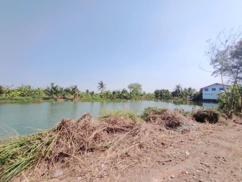 For SaleLandLadkrabang, Suwannaphum Airport : Land for sale (at Bueng), 1 rai 2 ngan 64 sq.w., Thap Yao Road, Thap Yao Subdistrict, Lat Krabang District, Bangkok