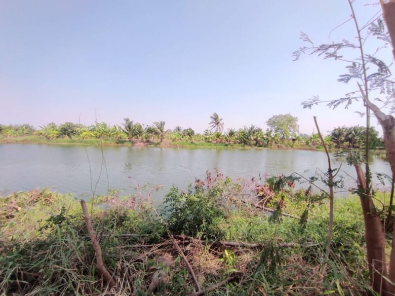 For SaleLandLadkrabang, Suwannaphum Airport : Land for sale (at Bueng), 1 rai 2 ngan 64 sq.w., Thap Yao Road, Thap Yao Subdistrict, Lat Krabang District, Bangkok