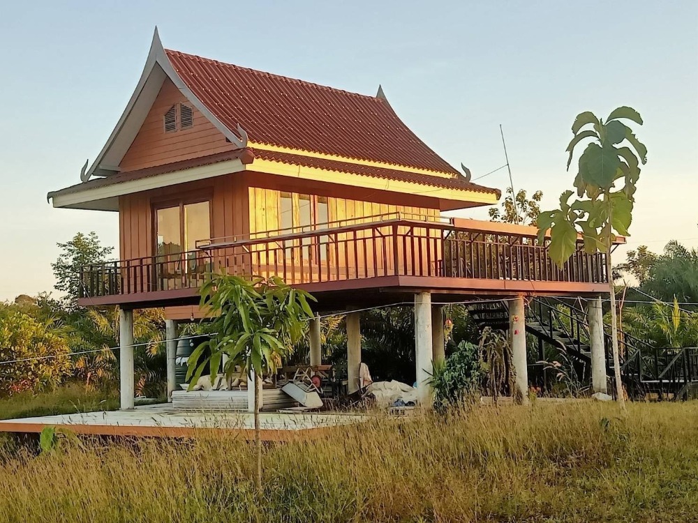 For SaleLandKrabi : Land for sale With 3 rai of buildings, 95 sq.w., located on the fields, rice fields and beautiful mountains With buildings for personal holiday homes or build pool villas, resorts, accommodation