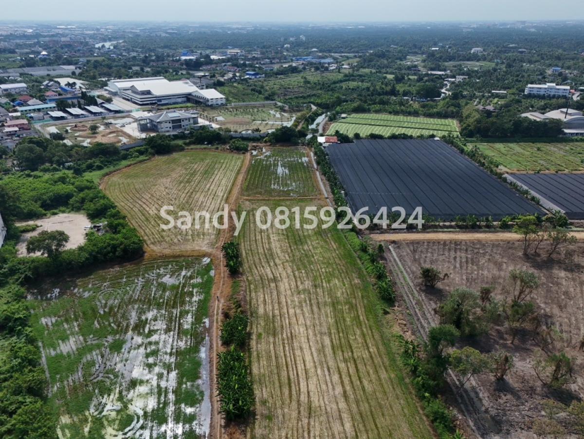 ขายที่ดินพุทธมณฑล ศาลายา : ที่ดินเปล่า ตรงข้ามเซ็นทรัลศาลายา ติดถนนบรมราชชนนี  ฝั่งขาออกจากกรุงเทพ