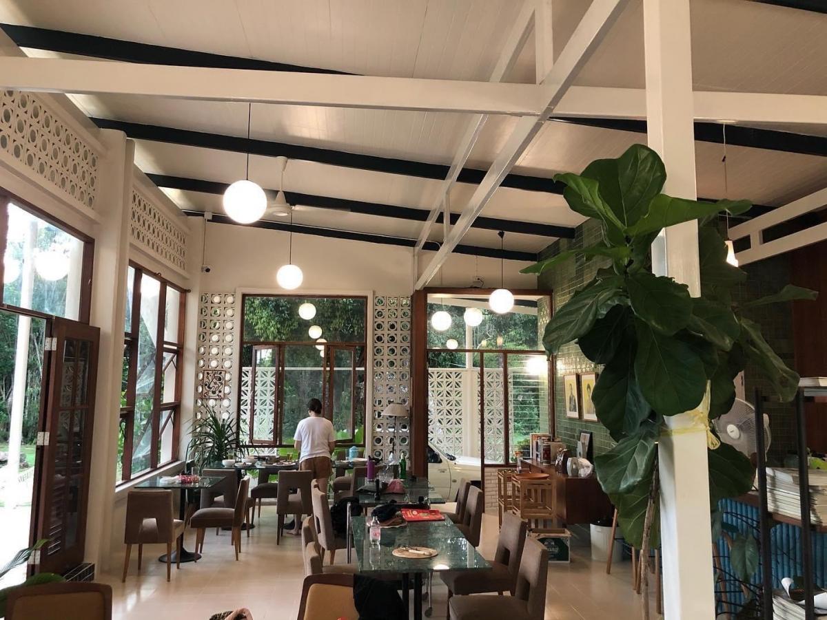 ขายที่ดินระนอง : 🚩🏡ขายที่ดินทำเลทอง อ.กะเปอร์ จ.ระนอง