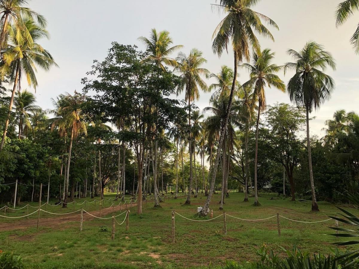 ขายที่ดินระนอง : 🚩🏡ขายที่ดินทำเลทอง อ.กะเปอร์ จ.ระนอง