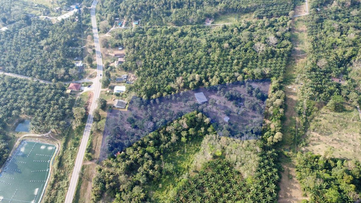 For SaleLandRanong : 🏡 Prime Land for Sale in Kapoe, Ranong