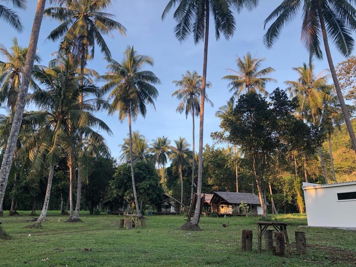 ขายที่ดินระนอง : 🚩🏡ขายที่ดินทำเลทอง อ.กะเปอร์ จ.ระนอง