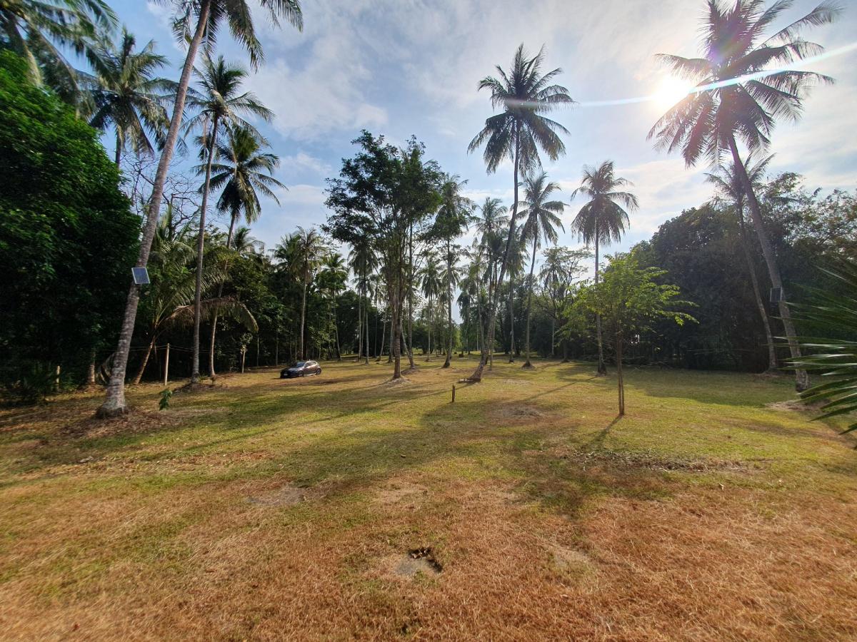 ขายที่ดินระนอง : 🚩🏡ขายที่ดินทำเลทอง อ.กะเปอร์ จ.ระนอง