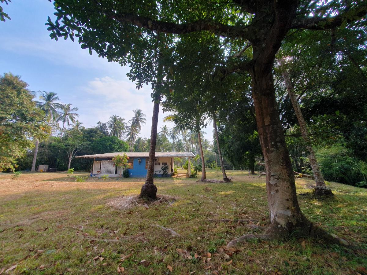 ขายที่ดินระนอง : 🚩🏡ขายที่ดินทำเลทอง อ.กะเปอร์ จ.ระนอง