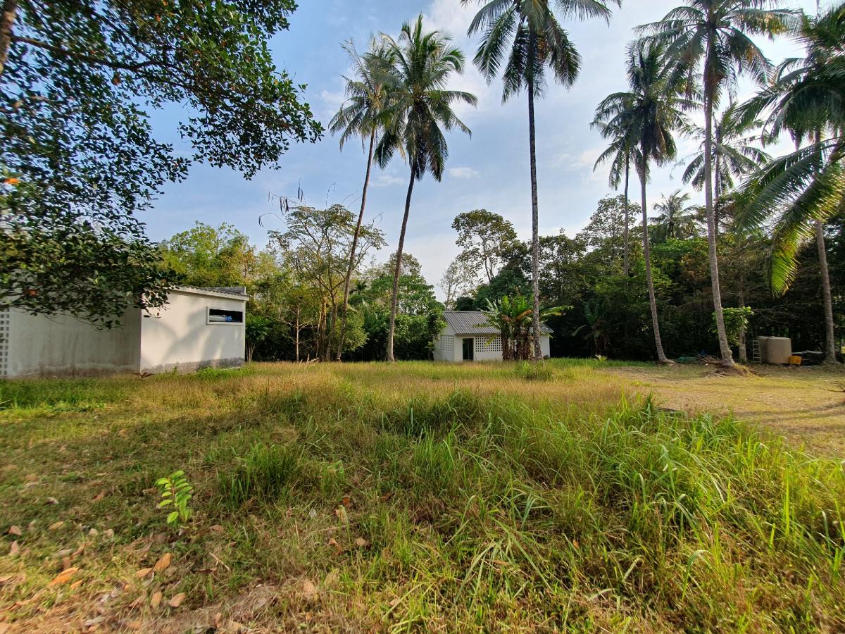 ขายที่ดินระนอง : 🚩🏡ขายที่ดินทำเลทอง อ.กะเปอร์ จ.ระนอง