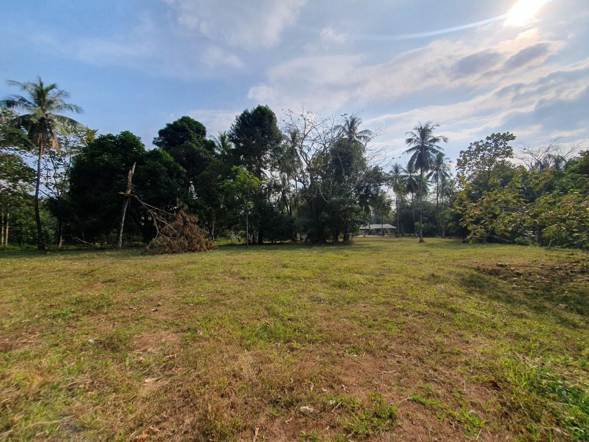 ขายที่ดินระนอง : 🚩🏡ขายที่ดินทำเลทอง อ.กะเปอร์ จ.ระนอง