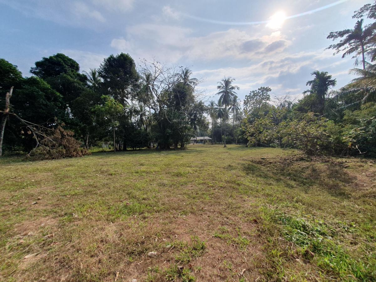 ขายที่ดินระนอง : 🚩🏡ขายที่ดินทำเลทอง อ.กะเปอร์ จ.ระนอง