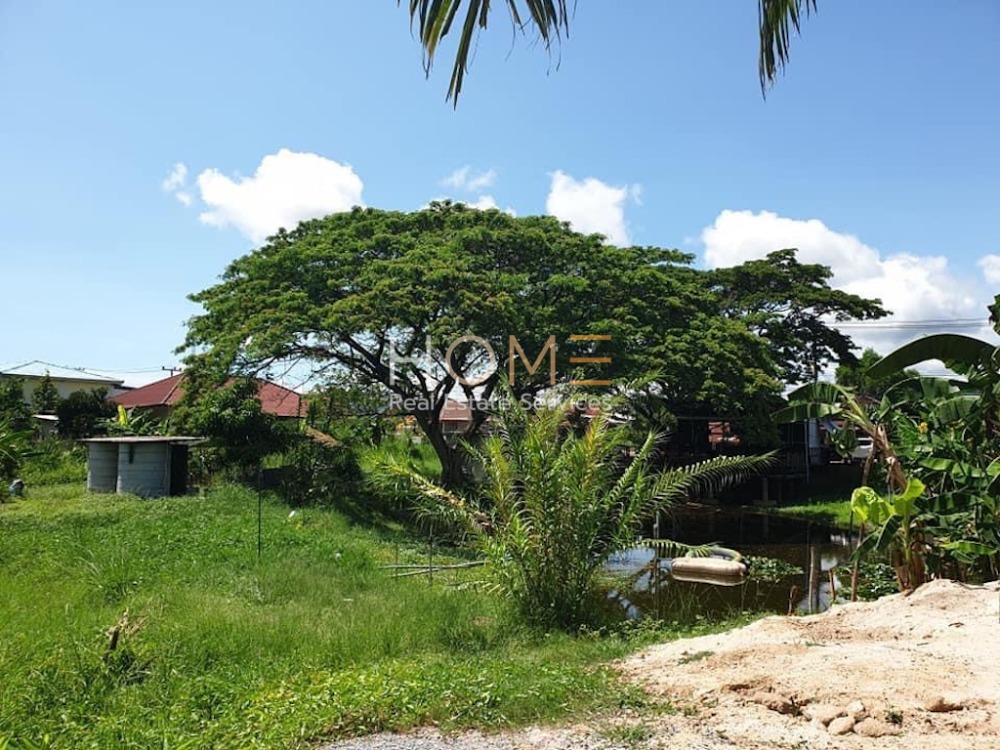 For SaleLandRayong : Ban Phe Rayong Land / (Selling), Land Ban Phe Rayong / (Sale) Newc430