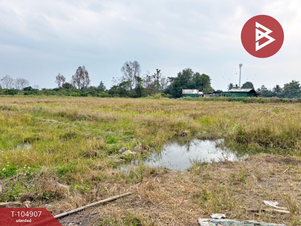 For SaleLandChiang Mai : Land for sale, area 10 rai 2 ngan 67 sq m, Mae Wang, Chiang Mai