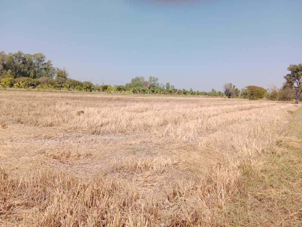 For SaleLandRoi Et : Owner selling himself Urgent sale, beautiful land near the airport