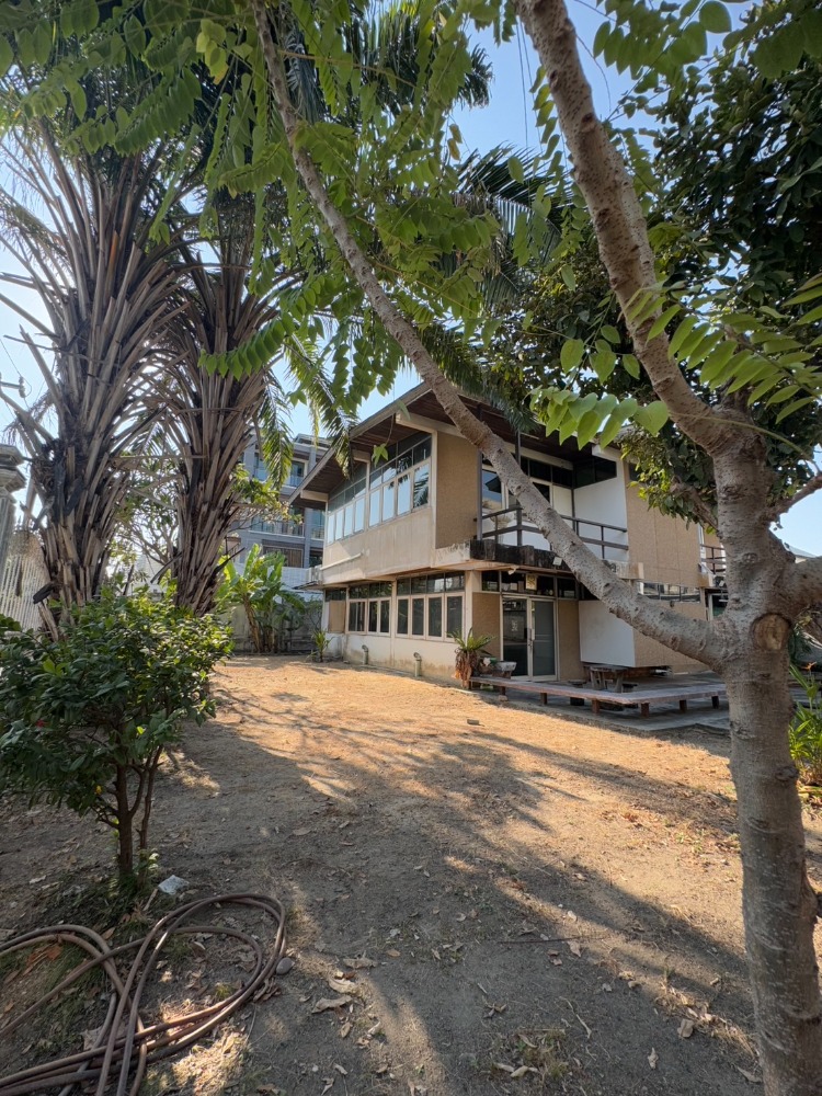 ขายบ้านอ่อนนุช อุดมสุข : ขายบ้านเดี่ยวพร้อมที่ดินซอยสุขุมวิท97/1 (N.1543)