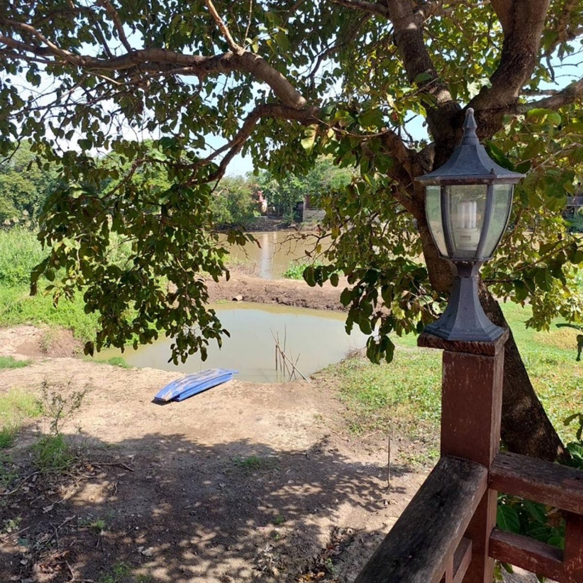 For SaleLandAyutthaya : House for sale with land, next to the Noi River, Ayutthaya, 2 rai 3 ngan