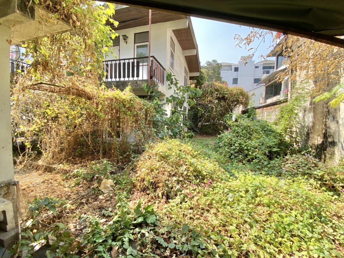 For RentRetail SpaceSukhumvit, Asoke, Thonglor : For rent, 2 semi-detached houses for business, renovated, with parking, Soi Ekkamai, Sukhumvit 63, Watthana, Bangkok, suitable for cafe, restaurant, yoga, pilates, workshop, fine dining (chef cooking)