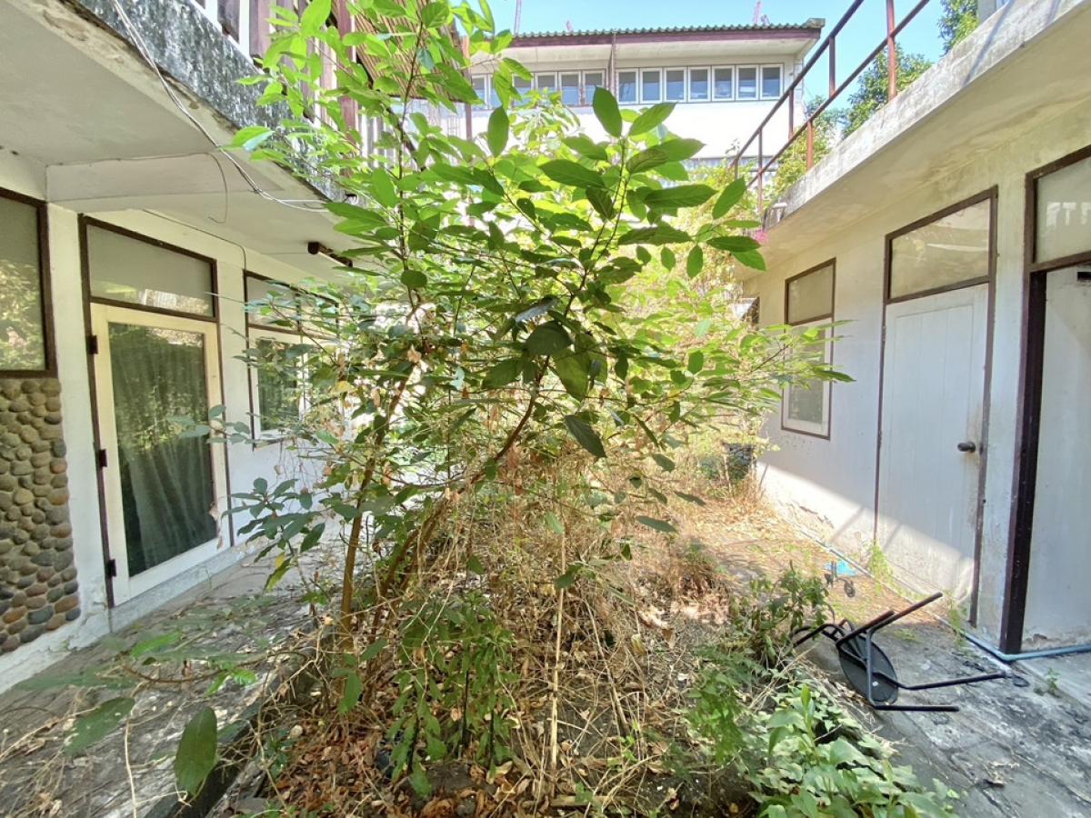 For RentRetail SpaceSukhumvit, Asoke, Thonglor : For rent, 2 semi-detached houses for business, renovated, with parking, Soi Ekkamai, Sukhumvit 63, Watthana, Bangkok, suitable for cafe, restaurant, yoga, pilates, workshop, fine dining (chef cooking)