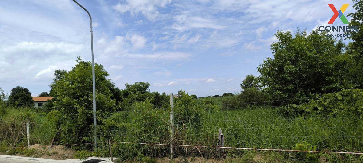 For SaleLandPathum Thani,Rangsit, Thammasat : Land for sale in Pathum Thani Province , Bang Prok , Mueang Pathum Thani , Pathum Thani , CX-115361
