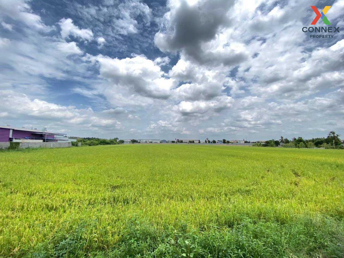 For SaleLandPathum Thani,Rangsit, Thammasat : Land for sale, good location in Sam Khok, Pathum Thani. , Thai Ko , Sam Khok , Pathum Thani , CX-115364
