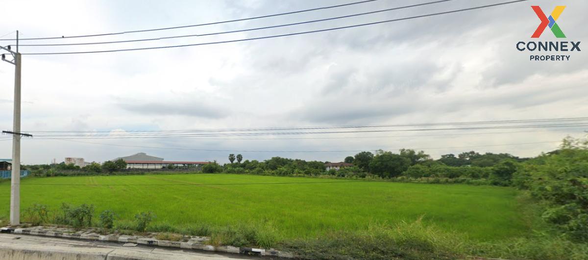 For SaleLandPathum Thani,Rangsit, Thammasat : For Sale Empty land in Sam Khok, Pathum Thani. , Khlong Khwai , Sam Khok , Pathum Thani , CX-115366
