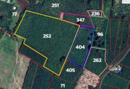 For SaleLandYasothon : Land for sale, Yasothon, land for agriculture, good location, cheap price