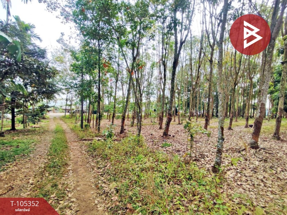 For SaleLandChanthaburi : Land for sale in an area of ​​4 rai 94.2 sq.wah, Mr. Yai Am Chanthaburi