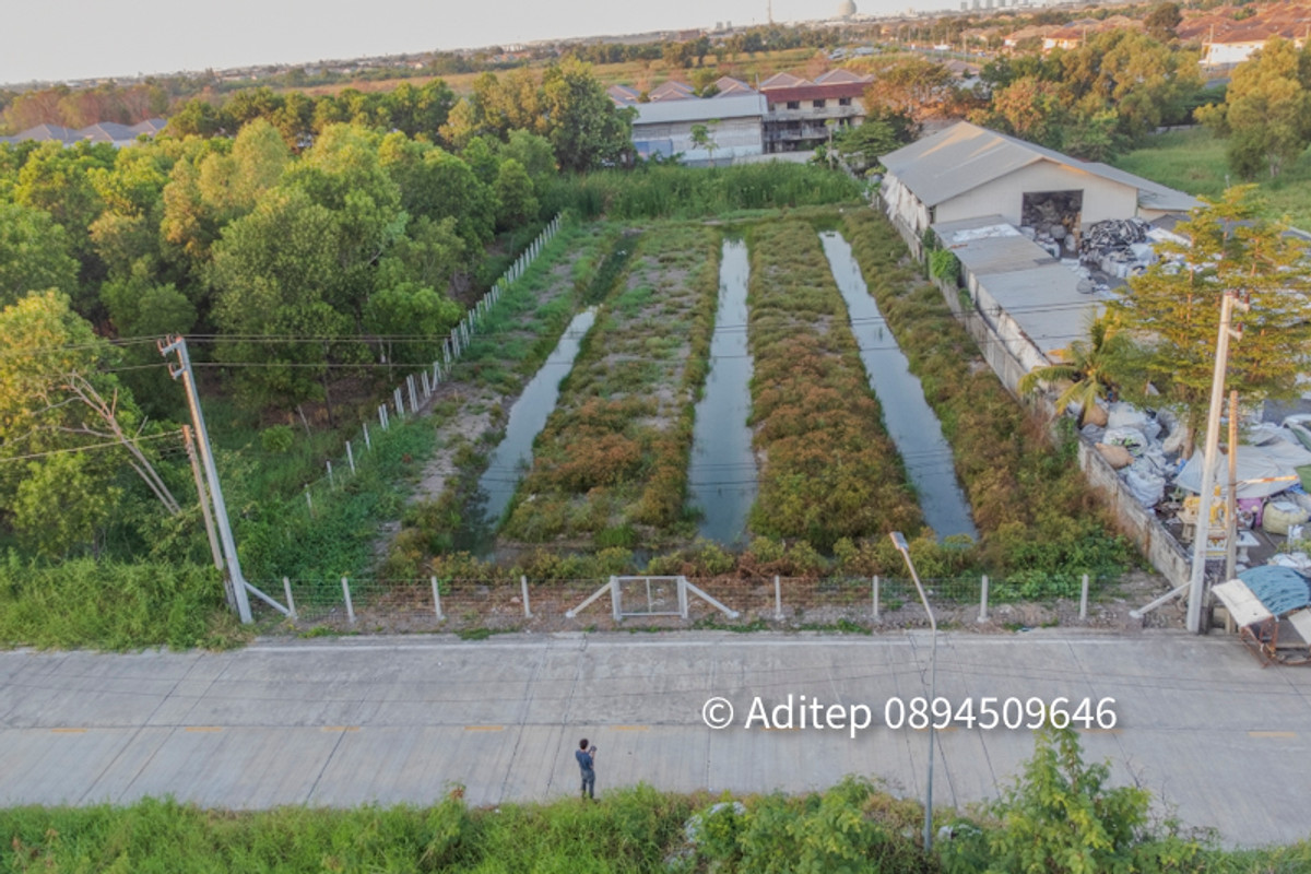 For SaleLandPathum Thani,Rangsit, Thammasat : Land for sale in Soi Bongkot 59, Khlong Song Pathum Thani, 2 rai, adjacent to the concrete road, good location, access to Phahonyothin Road and Rangsit-Nakhon Nayok Road. Suitable for developing as warehouses Or residence