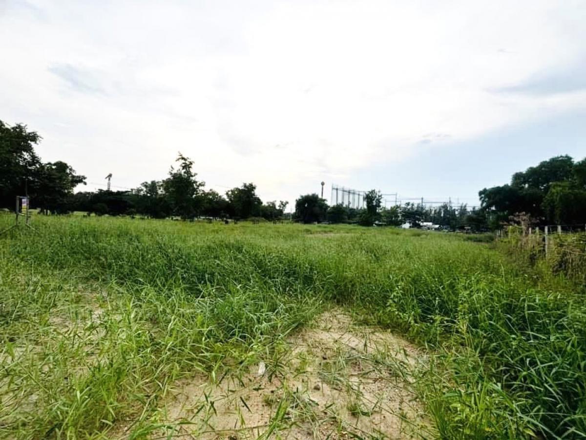 For SaleLandPathum Thani,Rangsit, Thammasat : Land for sale, golden location, ready to build  In Pine Golf Course, Soi 3