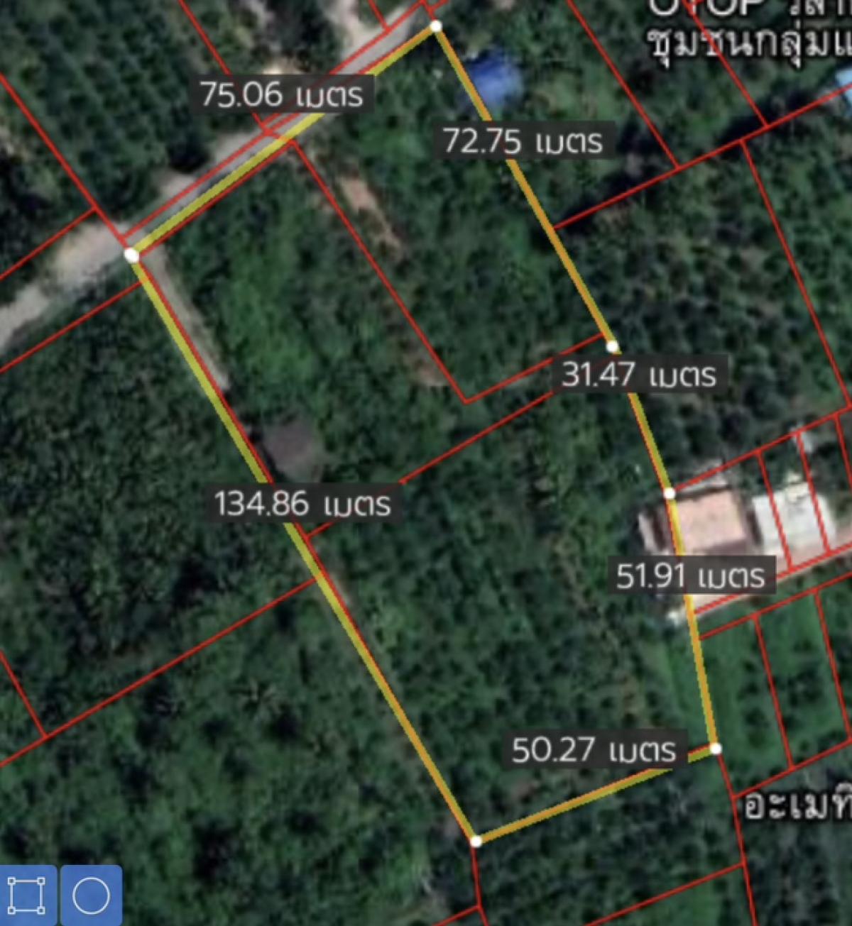 For SaleLandSamut Songkhram : Land for sale, fruit orchard, 61 square wah, near Bang Nang Li Amphawa, Samut Songkhram