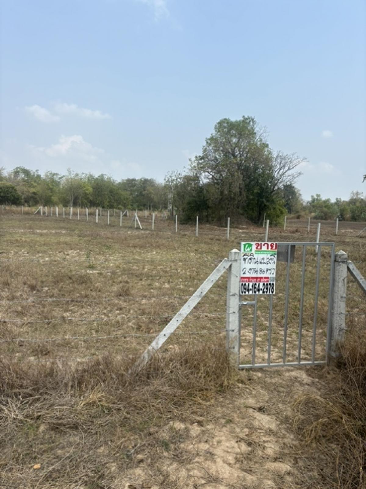 For SaleLandSuphan Buri : Land for sale in the fence.