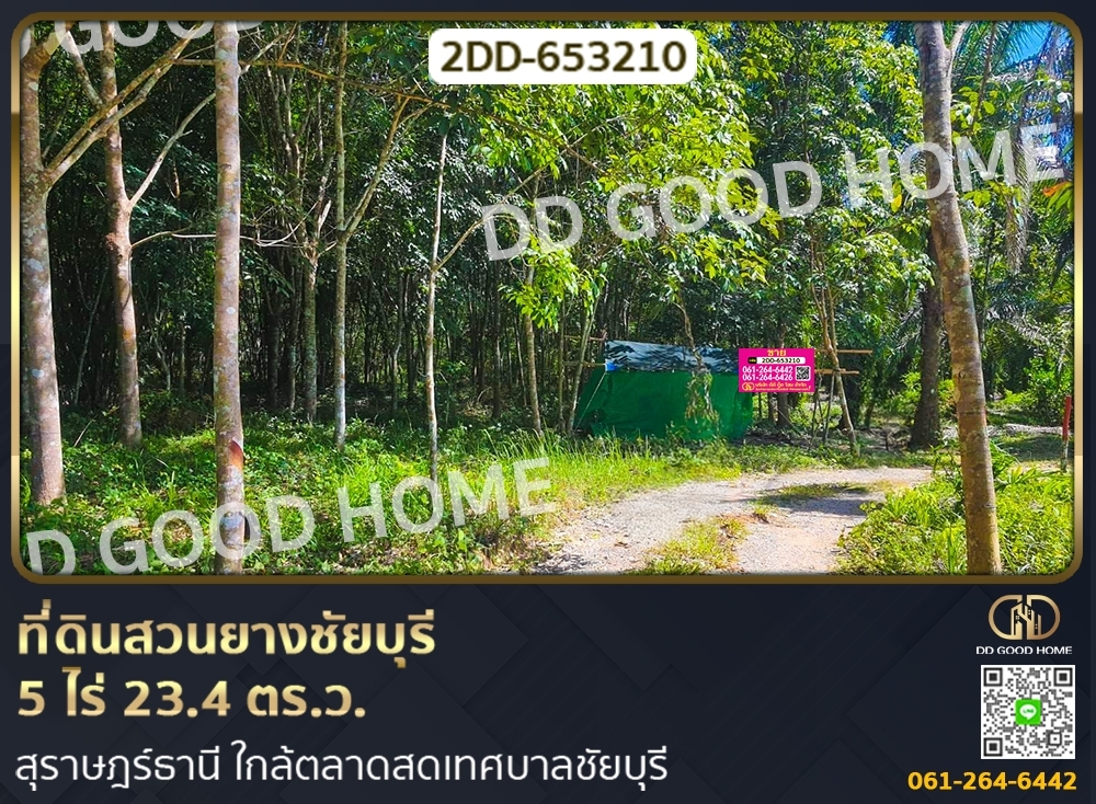For SaleLandKoh Samui, Surat Thani : Chai Buri Rubber Park, 5 Rai 23.4 sq.w. Surat Thani, near the Chaiburi Municipality Market