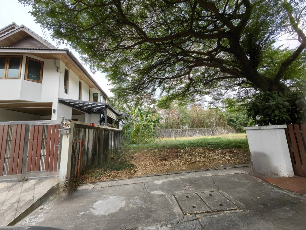 ขายที่ดินนวมินทร์ รามอินทรา : ขายที่ดิน มบ.แมกไม้ รามอินทรา ติดถนนรามอินทรา บรรยากาศร่มรื่น ใกล้ห้างสรรพสินค้า ใกล้ทางด่วน ใกล้รถไฟฟ้าสายสีชมพู