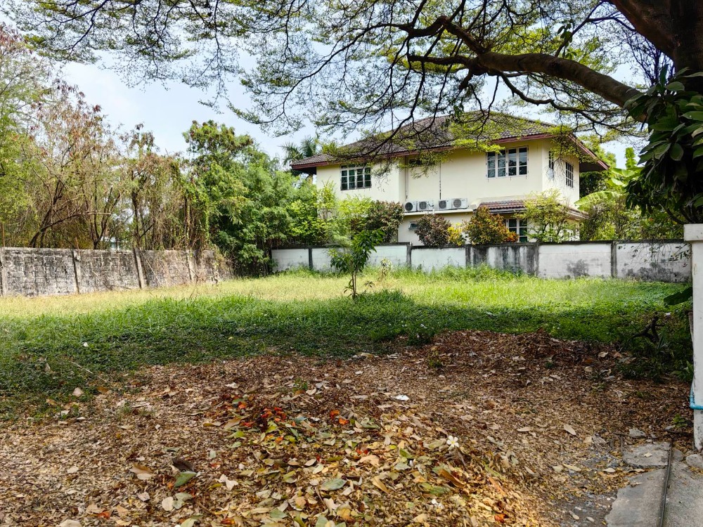 ขายที่ดินนวมินทร์ รามอินทรา : ขายที่ดิน มบ.แมกไม้ รามอินทรา ติดถนนรามอินทรา บรรยากาศร่มรื่น ใกล้ห้างสรรพสินค้า ใกล้ทางด่วน ใกล้รถไฟฟ้าสายสีชมพู