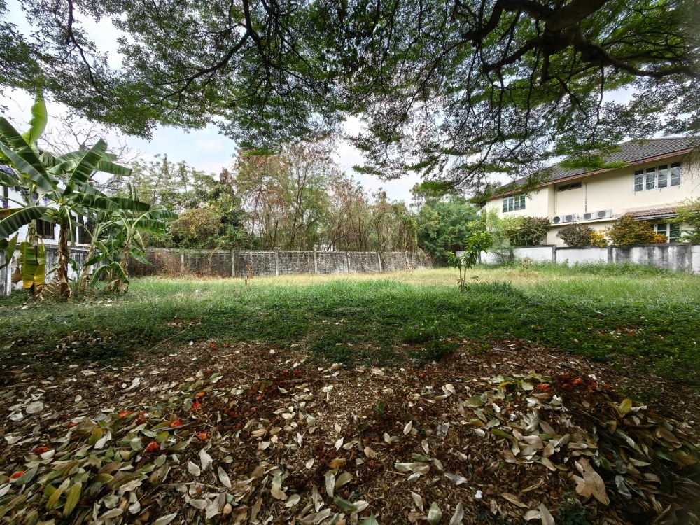 ขายที่ดินนวมินทร์ รามอินทรา : ขายที่ดิน มบ.แมกไม้ รามอินทรา ติดถนนรามอินทรา บรรยากาศร่มรื่น ใกล้ห้างสรรพสินค้า ใกล้ทางด่วน ใกล้รถไฟฟ้าสายสีชมพู