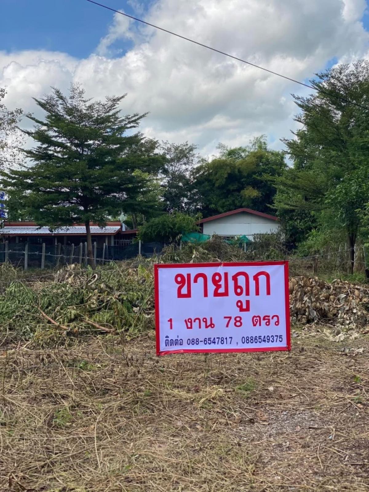 ขายที่ดินขอนแก่น : ที่ดินเปล่า จังหวัดขอนแก่นอำเภอสีชมพูบ้านสันติสุข