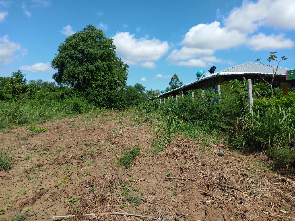 For SaleLandPhetchabun : Land for sale 5 rai, Si Thep, Phetchabun, next to the Pa Sak River