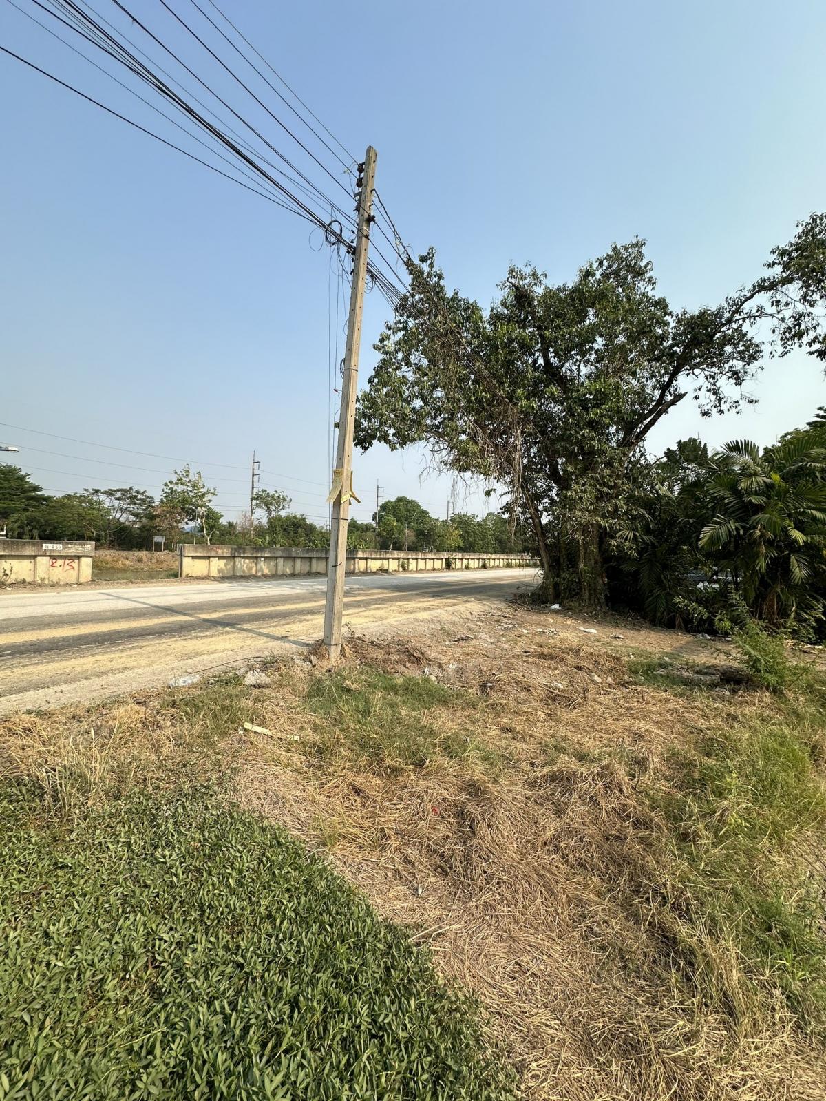 For SaleLandPathum Thani,Rangsit, Thammasat : Land for sale in Khlong 13 on the road