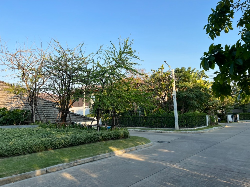 For RentHousePattanakan, Srinakarin : 🚩FOR RENT LUXURY HOUSE, a single house, very big corner 🔥 House number is already rich 🔥 Ready to stay - special price 🔥