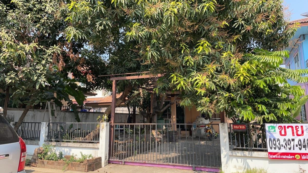 ขายบ้านนนทบุรี บางใหญ่ บางบัวทอง : ขายด่วน บ้านเดี่ยวหลังใหญ่  บ้านทิวตะวัน บางใหญ่ ซอยโรงเรียนสารสาสน์วิเทศ บางบัวทอง 55.70 ตรว